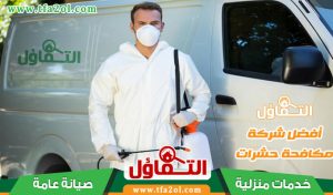شركة مكافحة حشرات بالقطيف ورش النمل الابيض والبق