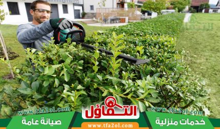 عامل قص اشجار بالخبر | إزالة وتشذيب الأشجار بكفاءة 24 ساعة