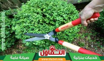 عامل قص اشجار بالدمام | شركة إزالة الأشجار بخدمة 24ساعة