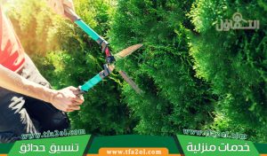 شركة قص اشجار بجدة