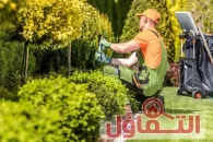 عامل قص اشجار بالخبر 0500321743| إزالة وتشذيب الأشجار بكفاءة 24 ساعة