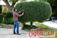 عامل قص اشجار بالخبر 0500321743| إزالة وتشذيب الأشجار بكفاءة 24 ساعة