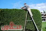 افضل عامل قص اشجار الرياض وإزالتها بأسعار مناسبة لعام 2026/25