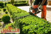 افضل عامل قص اشجار الرياض وإزالتها بأسعار مناسبة لعام 2026/25