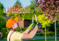 عامل قص اشجار بالدمام | شركة إزالة الأشجار بخدمة 24ساعة