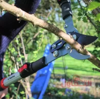 عامل قص اشجار بالدمام | شركة إزالة الأشجار بخدمة 24ساعة