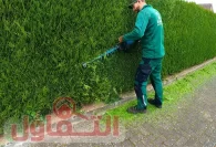 عامل قص اشجار بالدمام | شركة إزالة الأشجار بخدمة 24ساعة