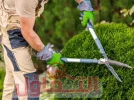 عامل قص اشجار بالدمام | شركة إزالة الأشجار بخدمة 24ساعة